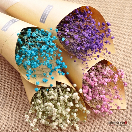 天然客厅装饰情人节生日礼物永生满天星干花花束