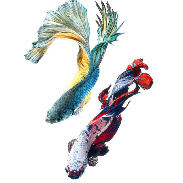 【高弹健身裤】_新款男紧身裤图片_运动男紧身裤价格_搭配分享 - 爱