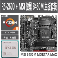 R5-2600+MSI B450M Matl