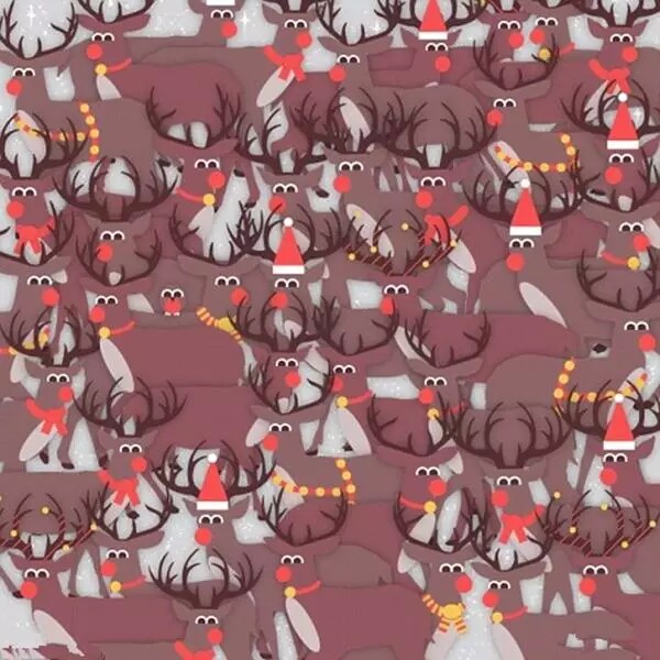 考眼力的10张图,看出来越多右脑越发达