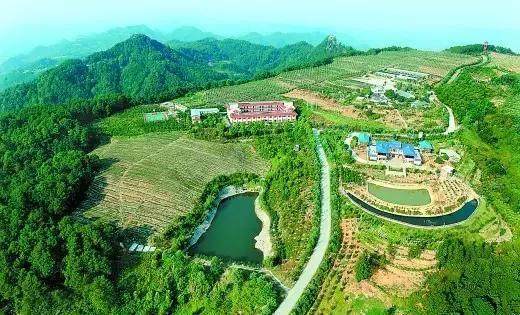 何埂石笋山风景