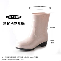 523 Груп абрикос