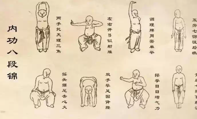 图片[1]-健身养生资源合集[电子书+视频]【八段锦、易筋经、五禽戏、六字诀+太极拳、八卦掌、咏春拳、形意拳等传统武术】-北极星资源库