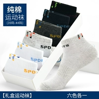Спорт