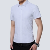 Playboy, мужская рубашка, лонгслив, осенняя куртка, короткий рукав, с рукавом