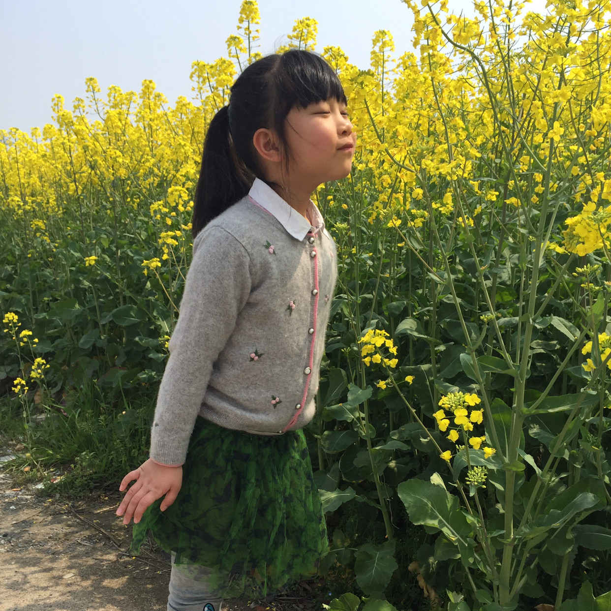 苹果脸2015儿童装长t恤 印花纯棉女童秋装连衣裙长袖 亲子款