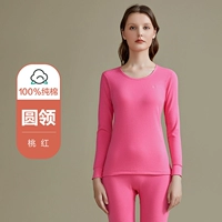 Антибактериальный круглый воротниц самка персикового красного цвета