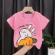 G22-Cute Rabbit