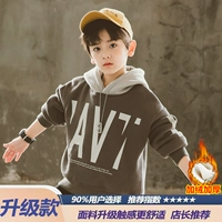 Модель из серого бархата и утолщения [двойное тепло, выбирают 90% пользователей]