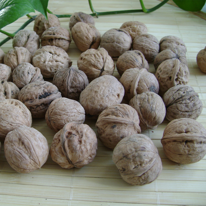 吕梁山野生老树山核桃硬壳生核桃非纸皮核桃原生态绝不漂白500克