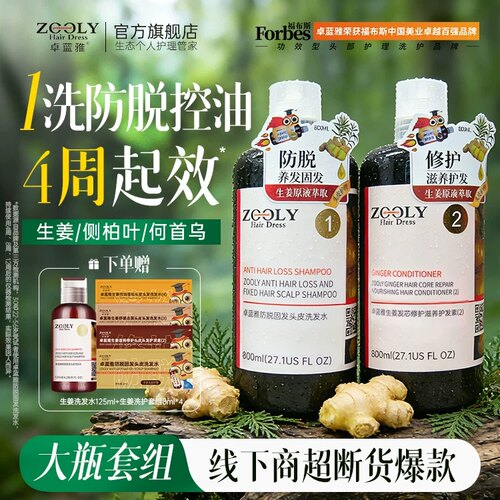 生姜侧柏叶防脱固发 大容量全家享 800ml*2