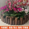 Товары от o淑女屋的妖o