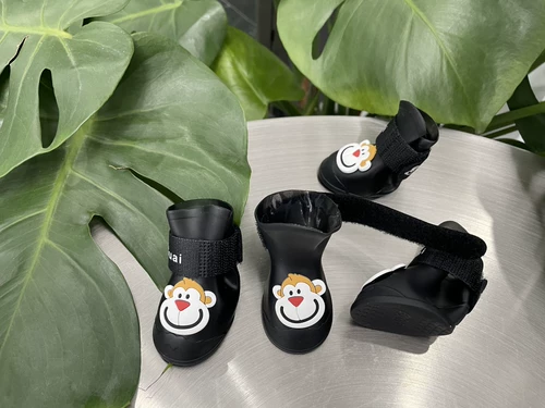 Собачьи домашние животные хереса, чем медведь бин -западный на Хайленд дождь, Балта 4