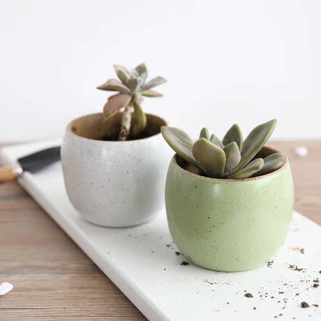 爱逛街为您找到可爱迷你花盆相关的宝贝,您可以在下面的板块中挑选