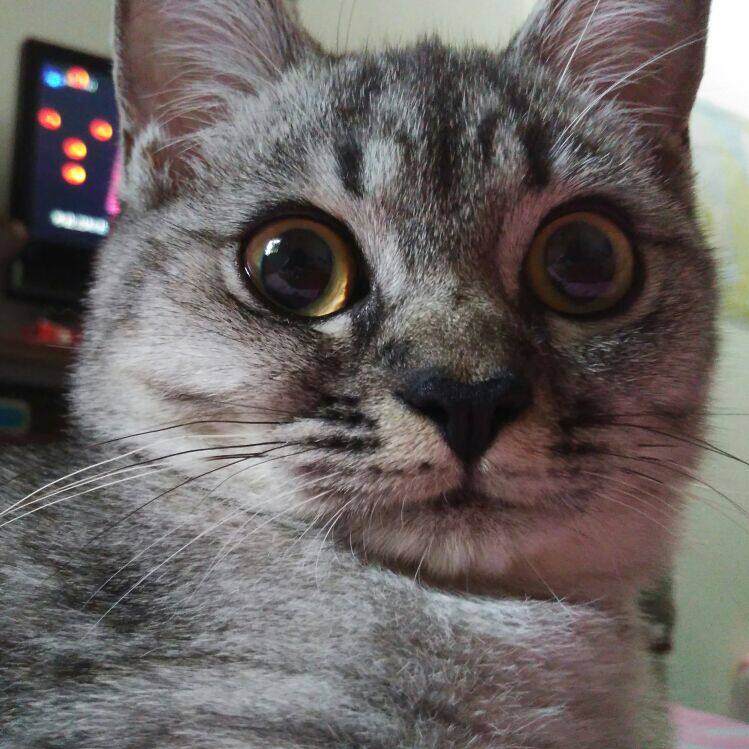 爱逛街为您找到波司登羽绒服相关的宝贝,您可以在下面的板块中挑选