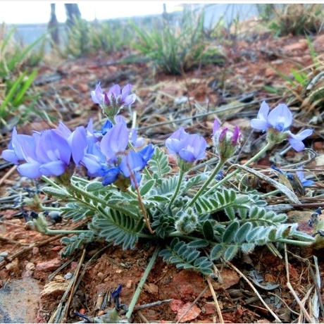 爱逛街为您找到米布袋相关的宝贝,您可以在下面的板块中挑选喜欢的