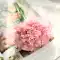 giá lan giả hạc Hoa cẩm chướng mô phỏng bó hoa trong nhà phòng khách nhựa đám cưới nhà bàn cà phê trang trí mục vụ hoa giả hoa trang trí hoa lụa chậu mai giả để bàn hoa giấy giả Cây hoa trang trí