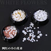 3 boxes of five -petal flower jewelry（3 colors）