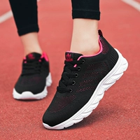 738 Секретная сеть черного красного