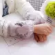 Бабочка Лианхуа