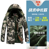 [Обновление] C Tactical (супер мягкий золотой бархатный бархатный ткань)