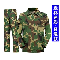 Обычный лес [набор]