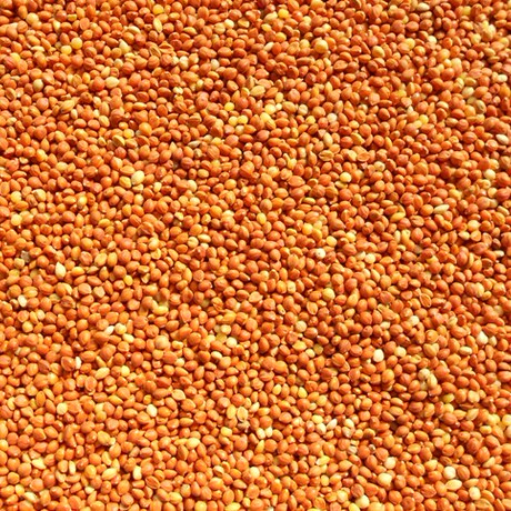 爱逛街为您找到熟花生水煮花生带壳相关的宝贝,您可