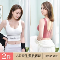 Белый кирпичный красный