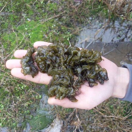 爱逛街为您找到野生地皮菜相关的宝贝,您可以在下面的板块中挑选喜欢