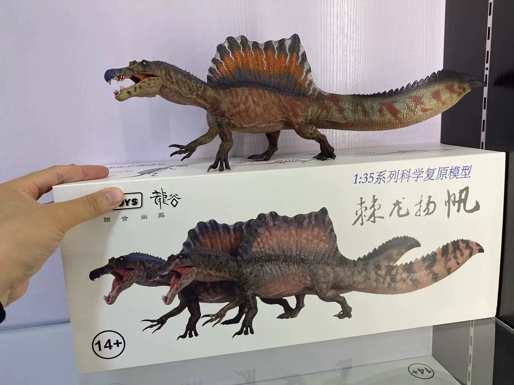 Grtoys 龙谷联合出品1 35系列棘龙扬帆科学棘龙脊背龙