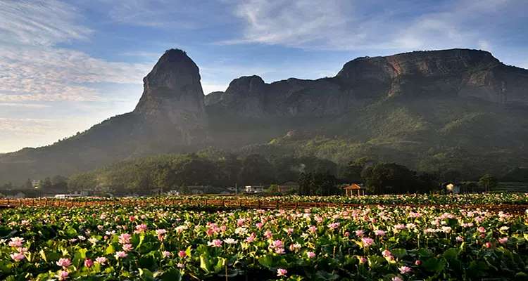 通天寨风景区