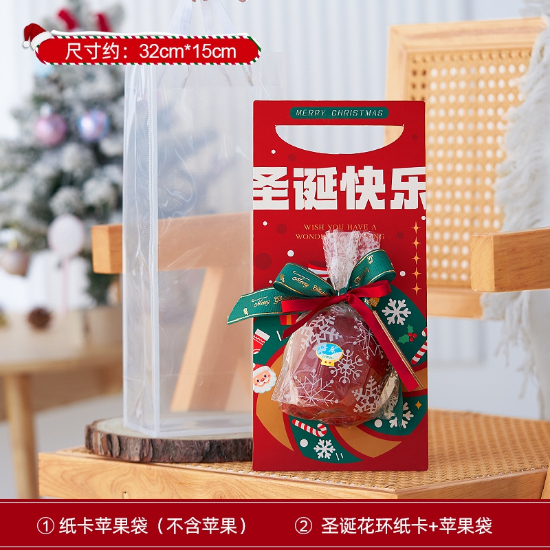 Merry Christmas Apple Bag (Gift Bag Style)