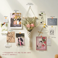 Красота и хюанет сухой цветок комбинация