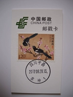 Extreme Postmark Card Post 2017 "Magpie" Марка, продавая Sichuan Pingchang · Xishen № 1 до первого дня Poke