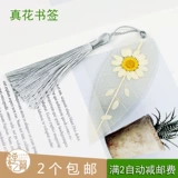 Крылья Cicada of the Leaf Dry Flower Образец Baijing Chrysanthemum Veins подписал материал DIY ручной работы, цветочное растение Daisy