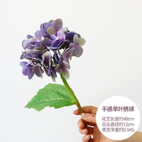 Purple -Blue кончики пальцев Hydrangea