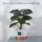 Phong cách Ins Bắc Âu mô phỏng cây trồng trong chậu đồ trang trí trong nhà phòng khách lá rùa trang trí cây cảnh internet người nổi tiếng hoa giả và cây xanh đồ gỗ trang trí nội thất	 Đồ trang trí tổng hợp