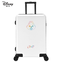 Живот белый белый