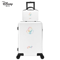 Zi Mother Set-Belly празднует белый