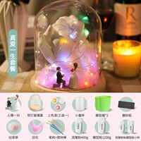 [Быстрая доставка] True Love Life-Color Lamp Low Set еда