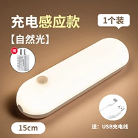 1 Установка [естественный свет] 15 см+может быть яркой/индукцией+зарядная головка