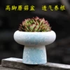 Товары от 默默家的小莫