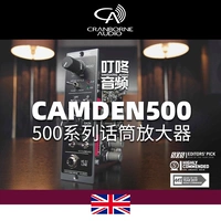 Audio Audio Audio Camden 500 усилитель микрофона Оригинальный импортный теплый краситель