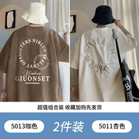 5013 Coffee Color +5011 Abricot Color