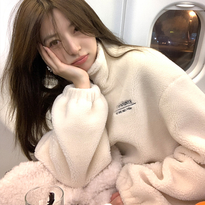 taobao agent Winter sweatshirt, short jacket, Korean style, with embroidery