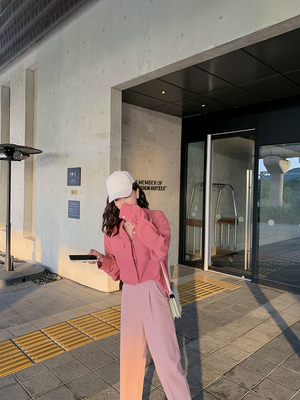 taobao agent Xia Shiwen customized the Korean version of the Korean version of the folds straight leisure pants women autumn, high waist high waist thin nine -point pants tide