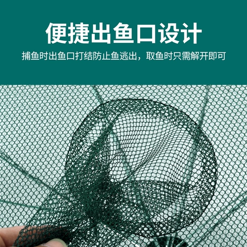 Складная клетка для рыбалки сети креветок может войти только в сетку Scutellaria Lobster.