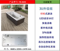 YQQ4601 Стандартная модель