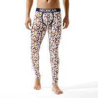 70409 Белый фон цвет бабочки