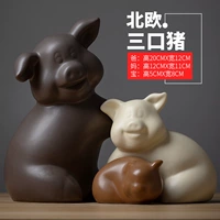 Северная свинья Санку